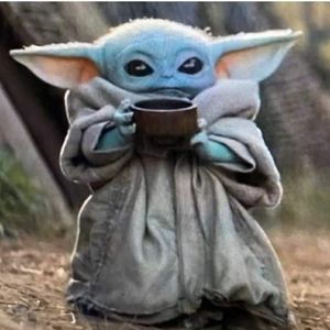 Meet your Posher, Tammi